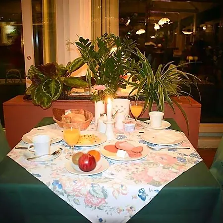 Grüner Baum Hotel 3*