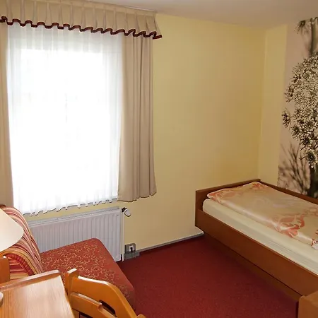 Отель Gruener Baum 3*