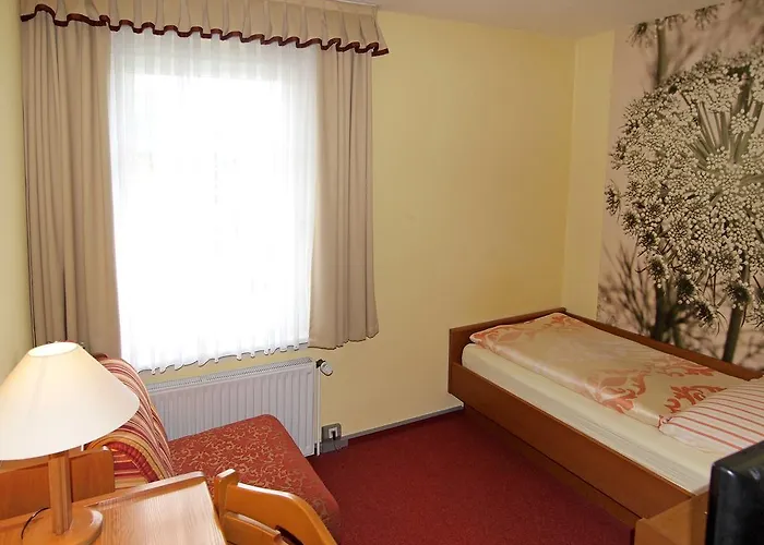 Hotel Gruener Baum 3*